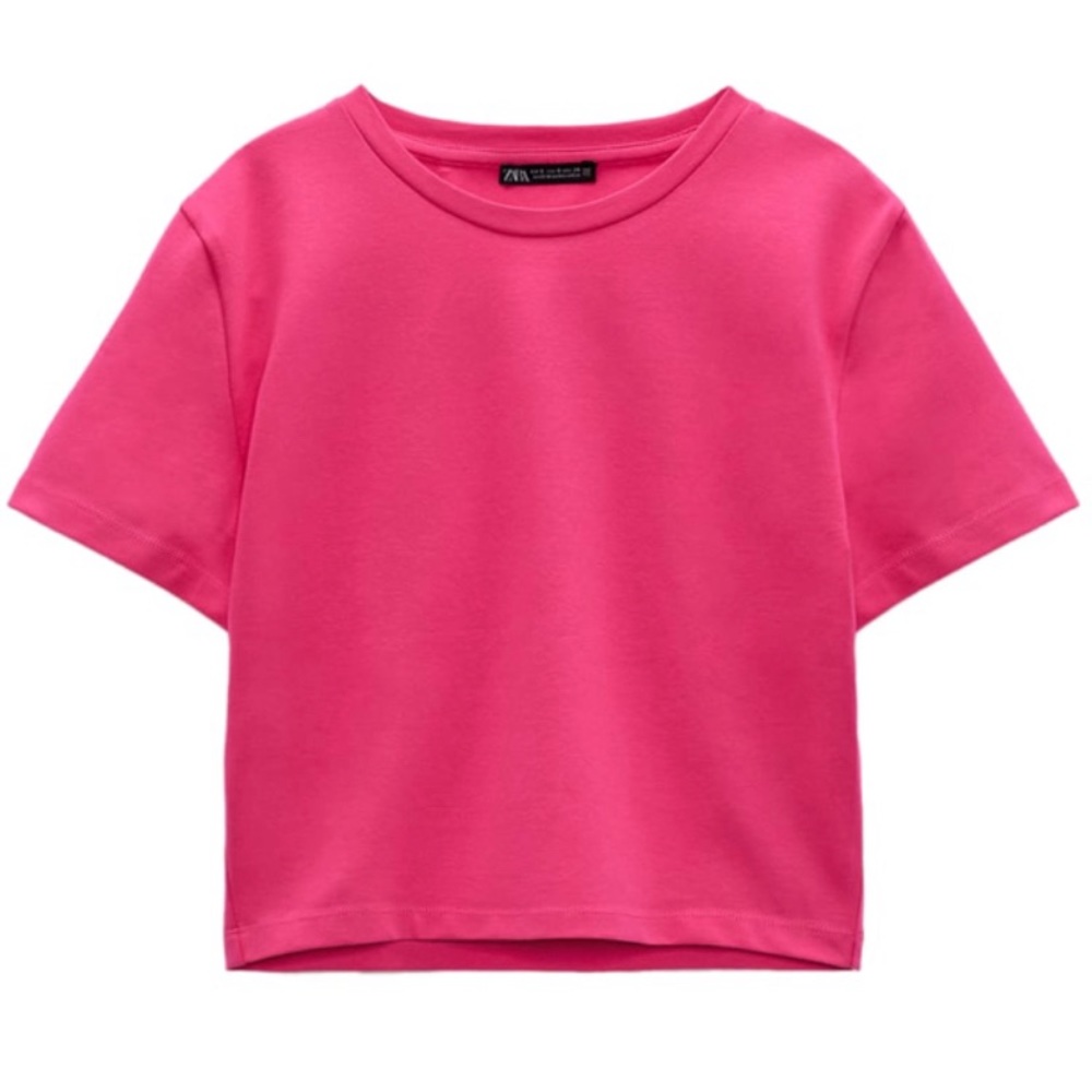 Zara pink top